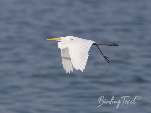 greategret